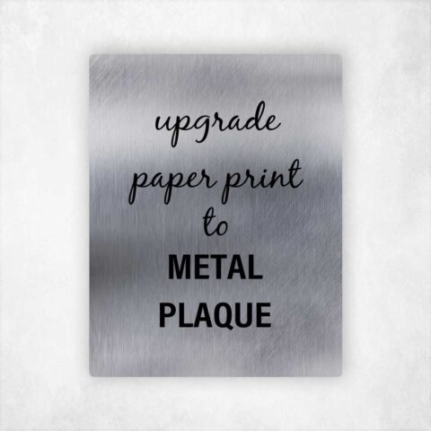 Upgrade 8×10 Paper Print to 8×10 Metal Plaque